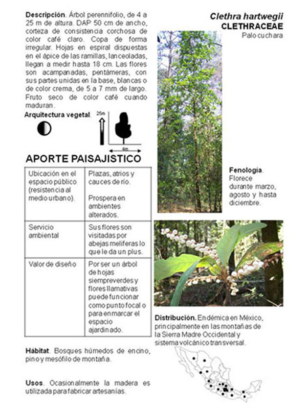 catálogo de flora nativa de Valle de Bravo para el diseño de Paisaje