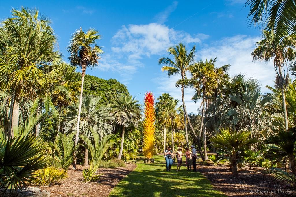 Fairchild Botanical Garden
