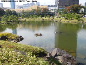 jardines de Hama Rikyu