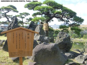 jardines de Hama Rikyu