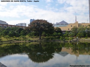 jardines de Hama Rikyu