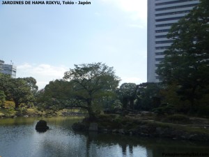 jardines de Hama Rikyu