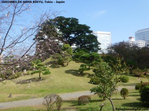 jardines de Hama Rikyu