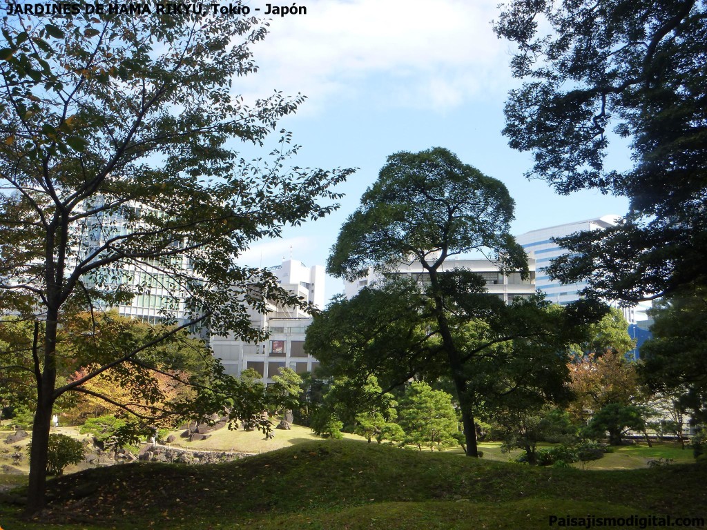 jardines de Hama Rikyu