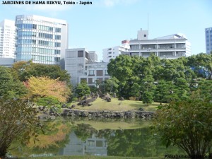 jardines de Hama Rikyu