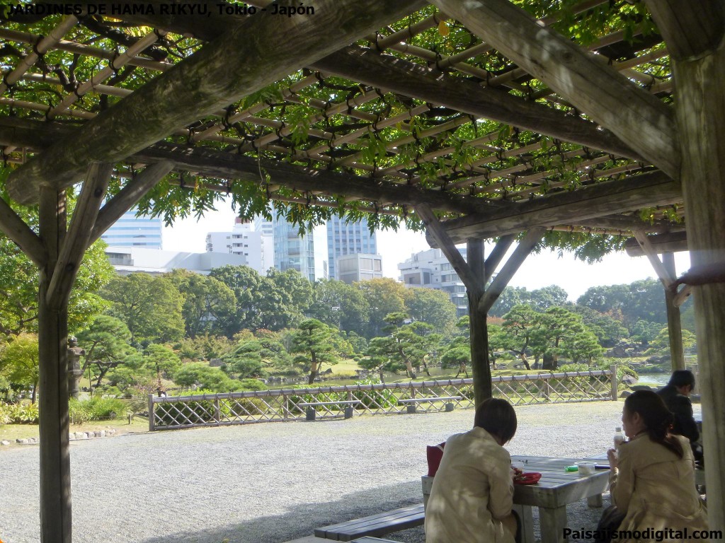 jardines de Hama Rikyu