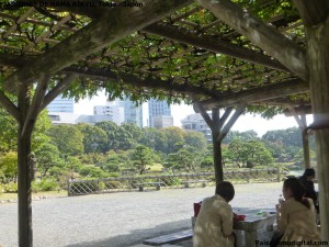 jardines de Hama Rikyu