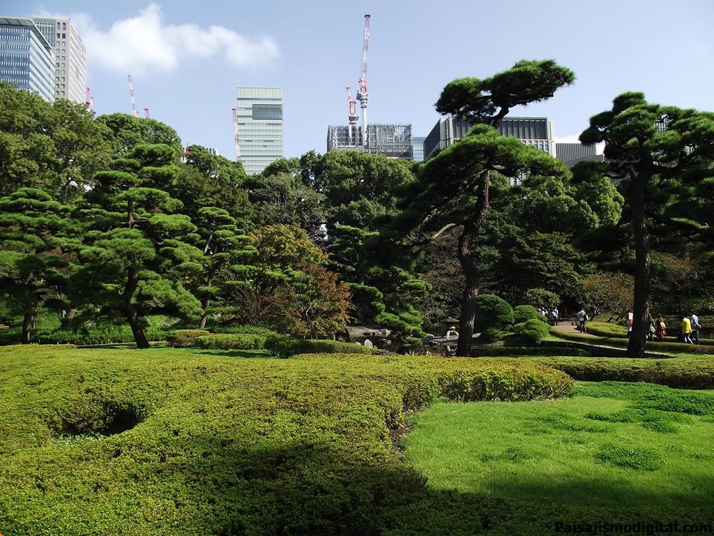 jardin japones