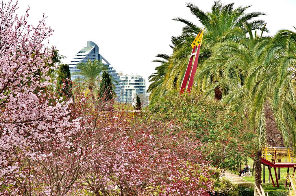 Jardín del Turia pulmón verde de la ciudad de Valencia