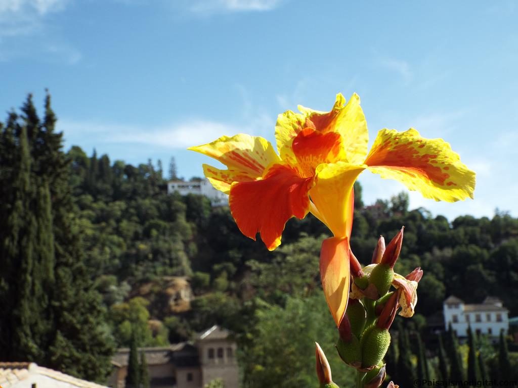 Jardines de la Casa del Chapiz