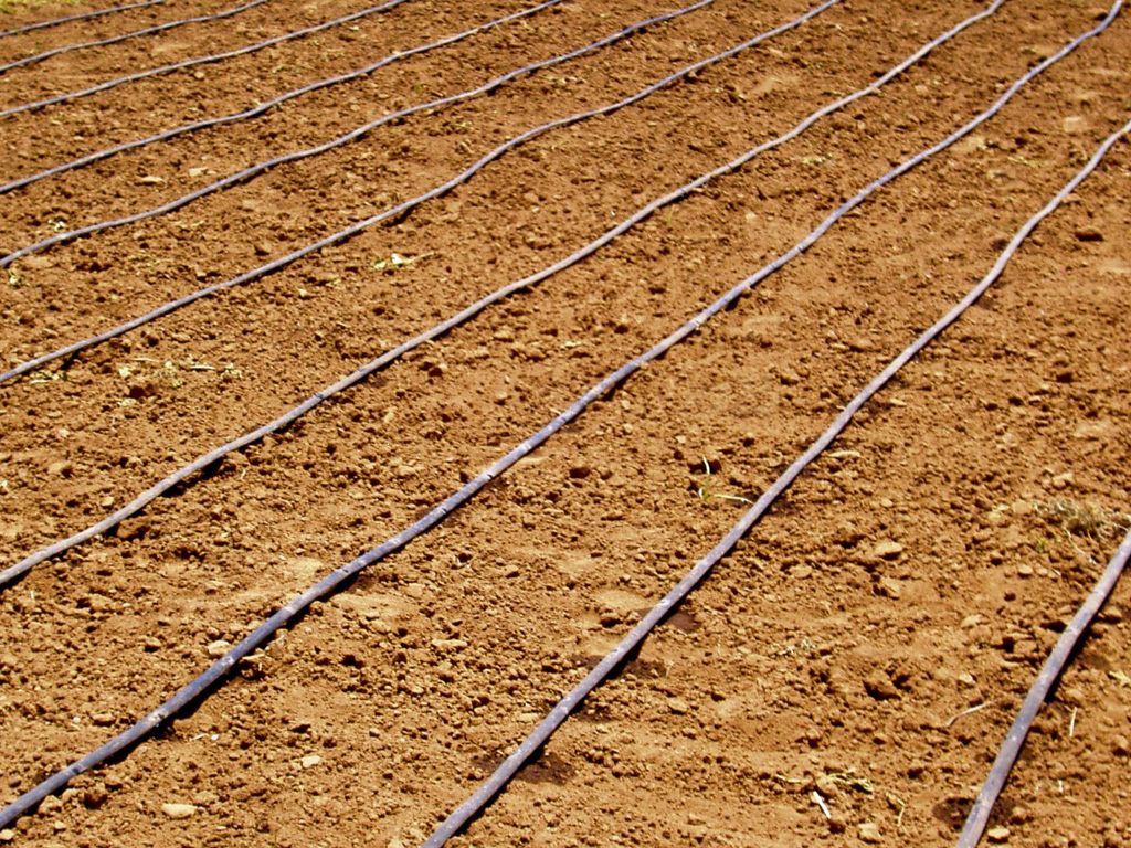 el ahorro de agua al diseñar un jardín