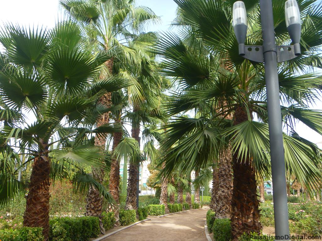 jardín de costa