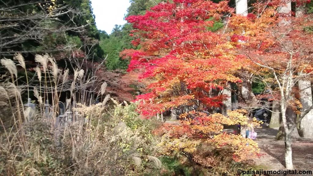 jardín japonés