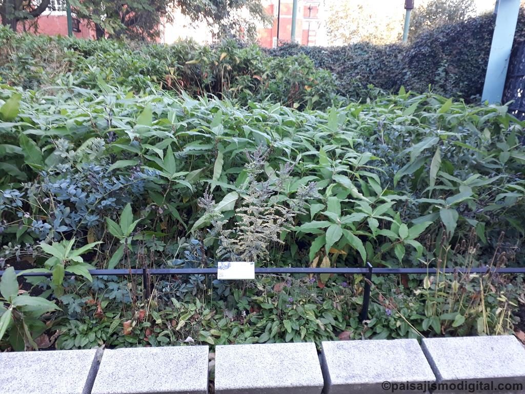 Potters Fields Park