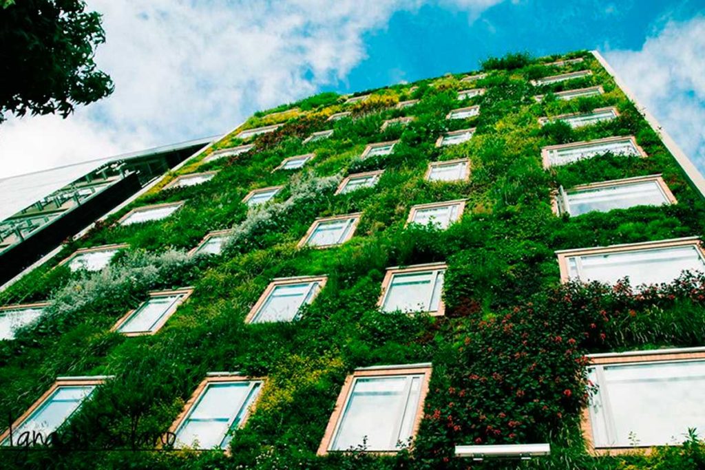 El jardín vertical interior de Ignacio Solano - Hotel Gaia B3, Bogotá, colaboración con Groncol