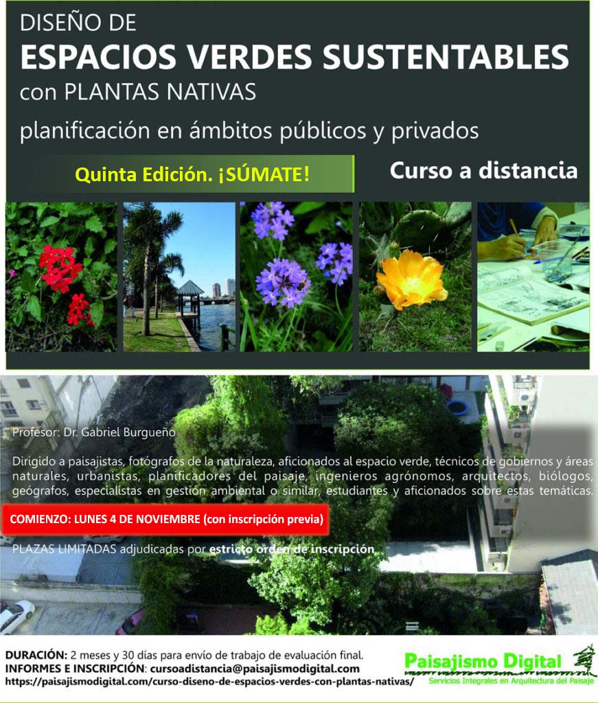 Flores de papel  Revista de Flores, Plantas, Jardinería, Paisajismo y  Medio ambiente