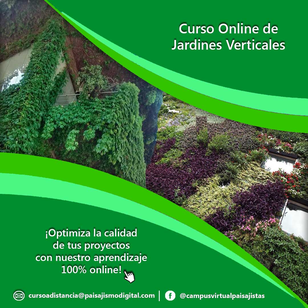 Curso Online de Jardines Verticales 4