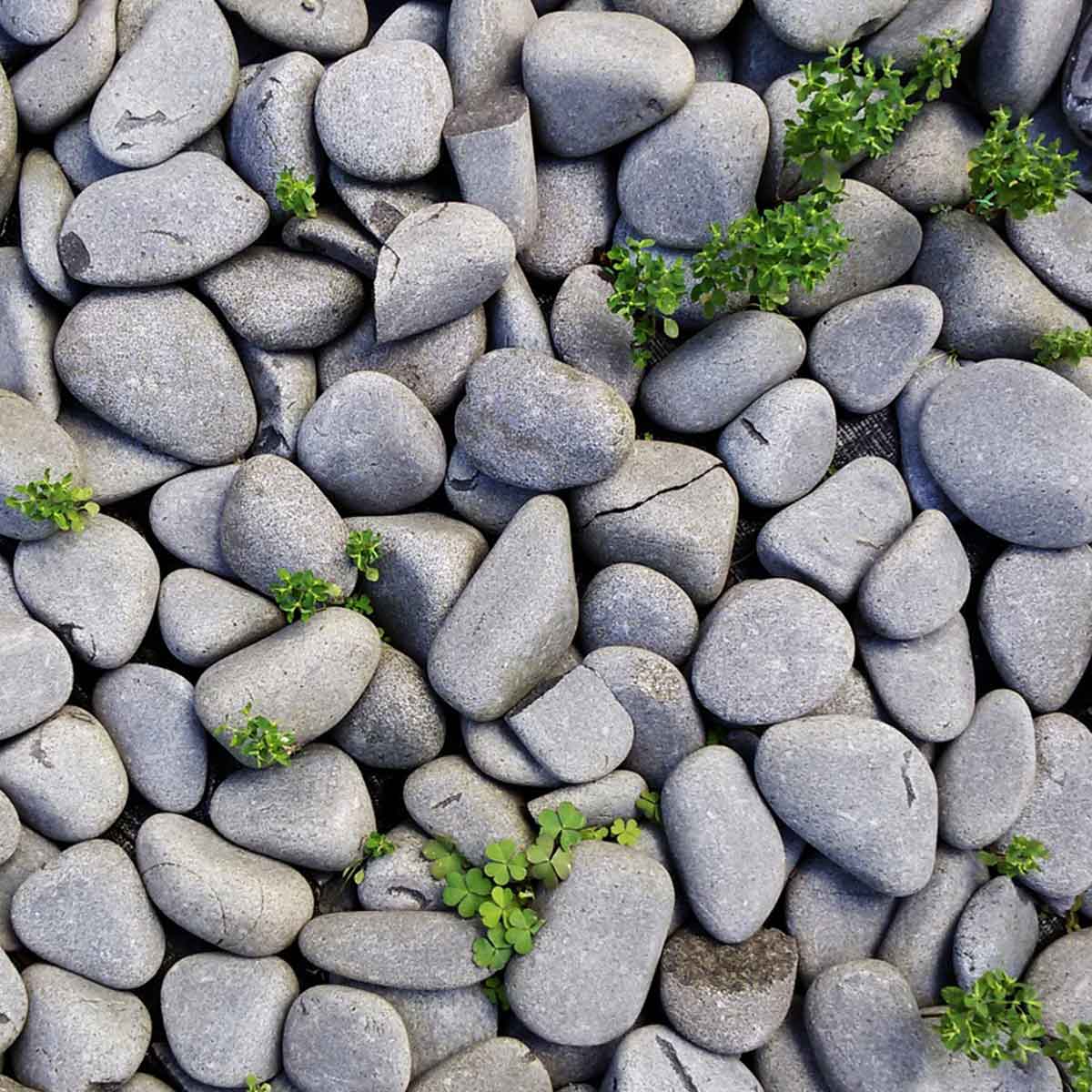Piedras para jardín: tipos y últimas novedades