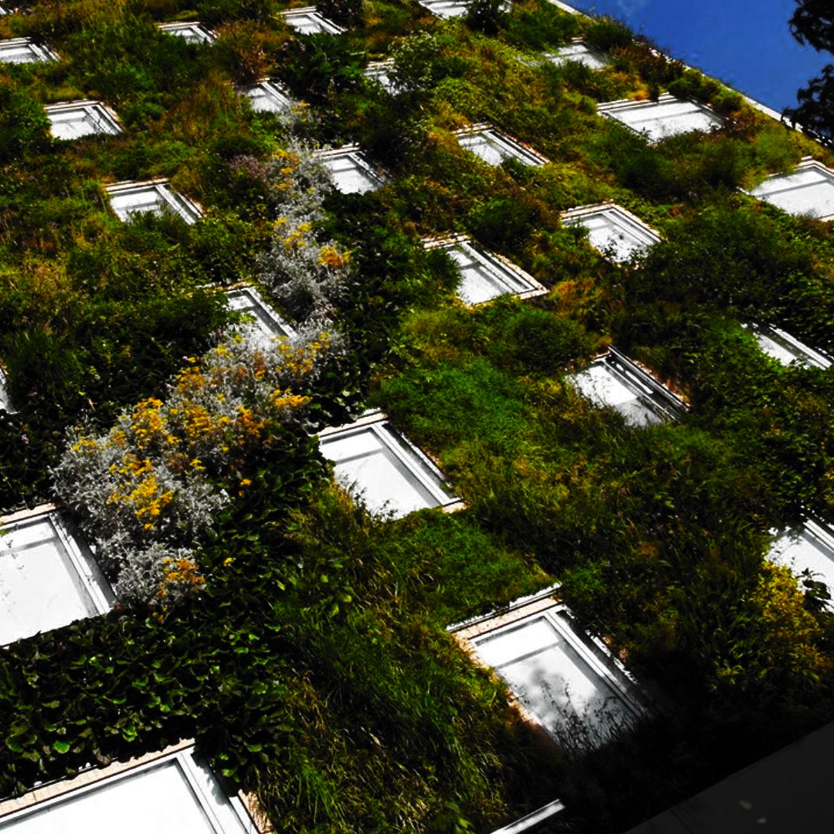 Jardines verticales de Latinoamérica: un repaso al diseño innovador