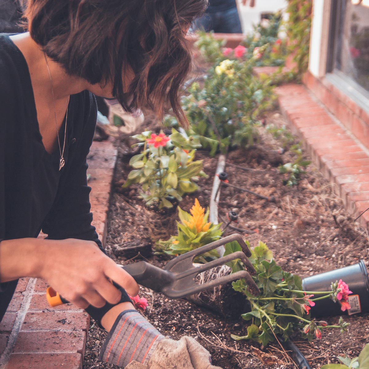 Jardines habitables y ecológicos, un diseño sustentable - Riego por goteo