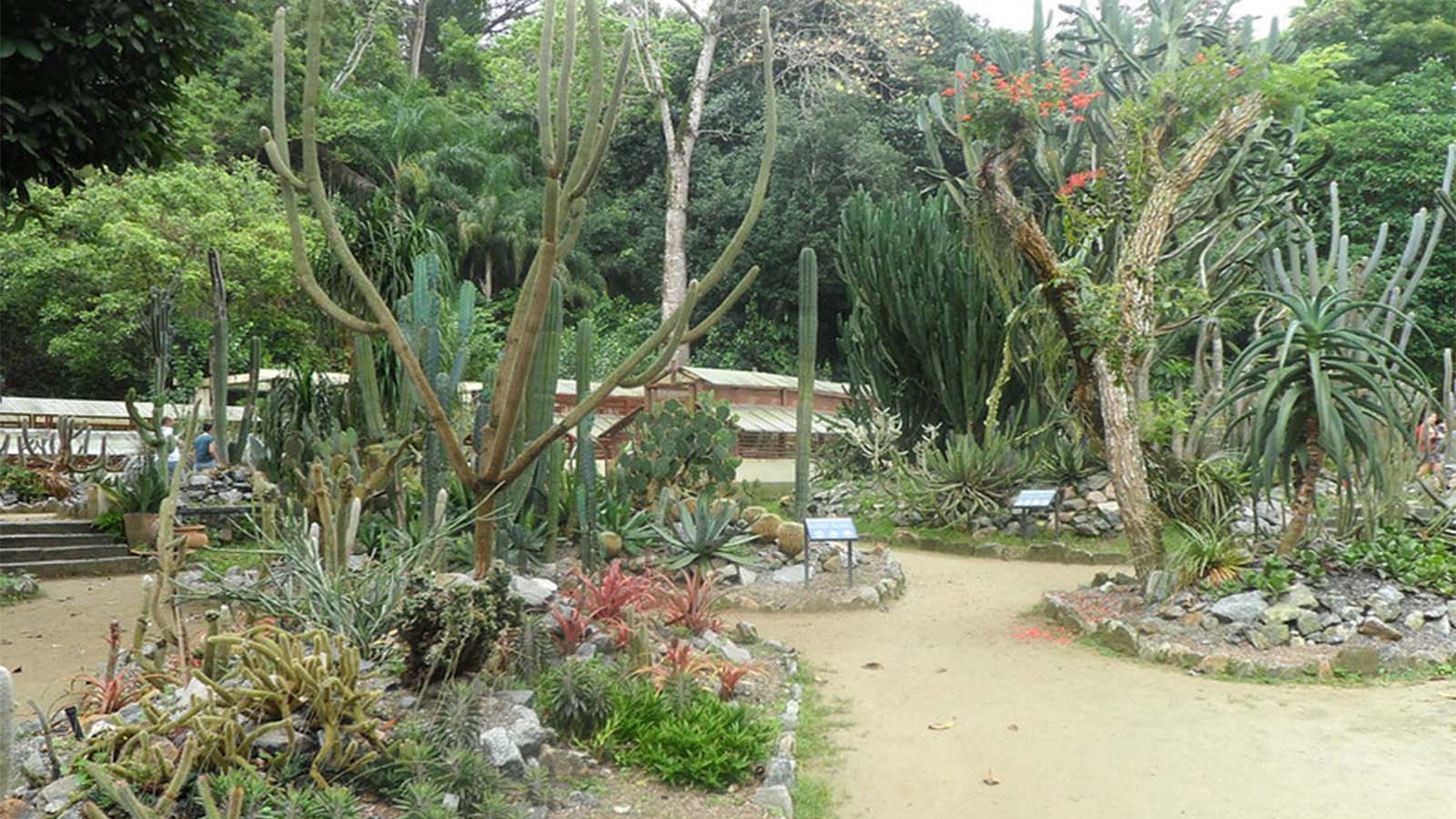 Jardín botánico de Río 2