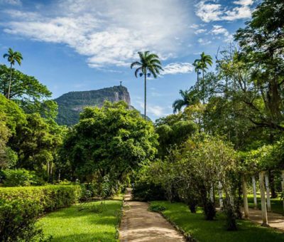 Jardín botánico de Río