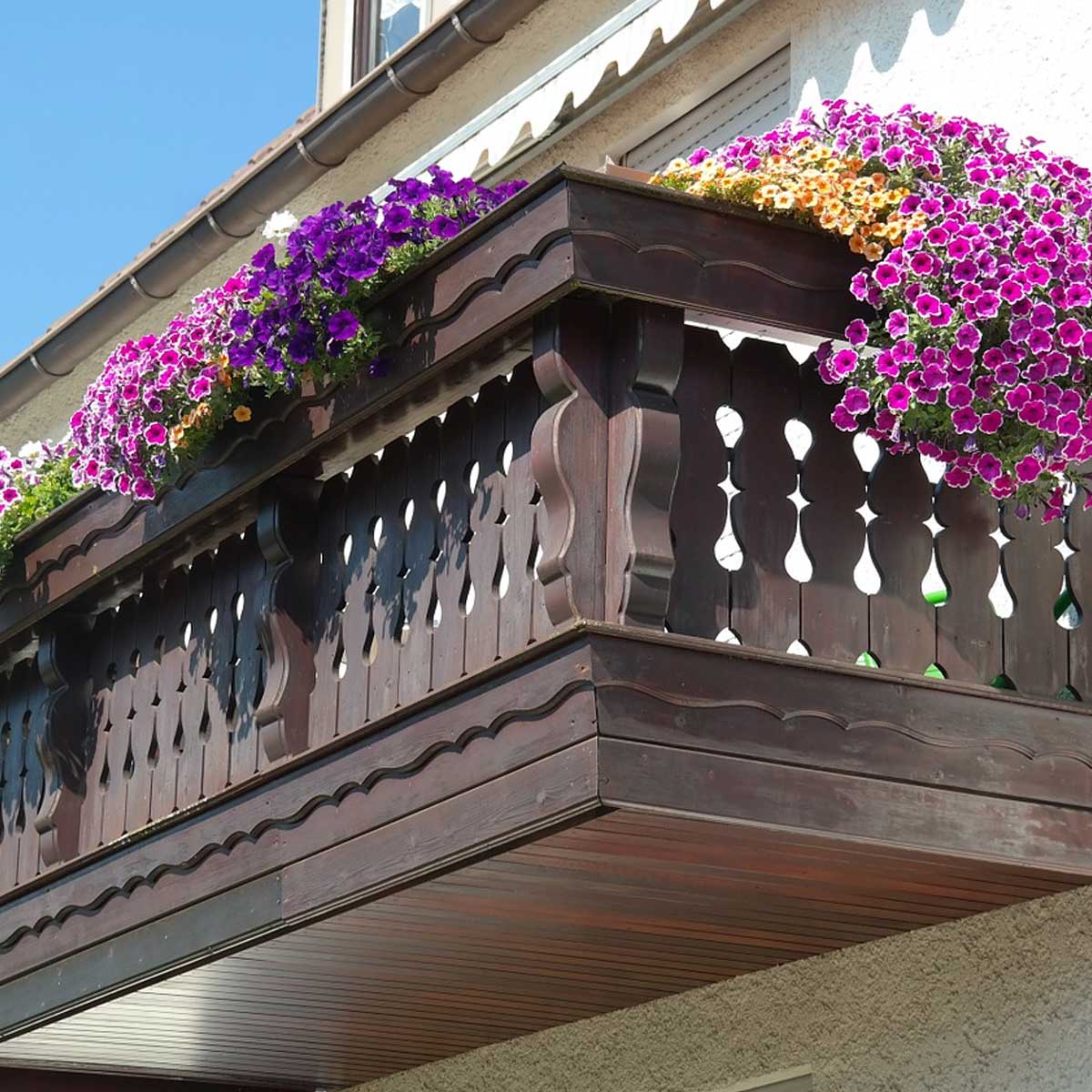 Temporada en caso explosión Jardines en balcones: Mejores plantas para crearlos - Blog de Paisajismo