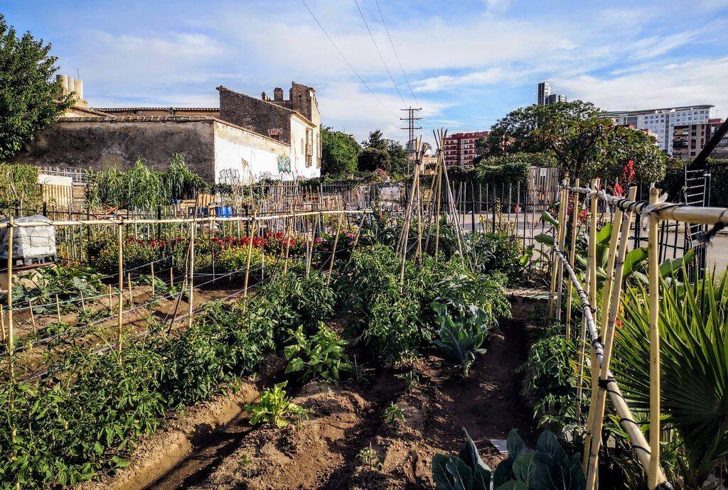 agricultura urbana en España