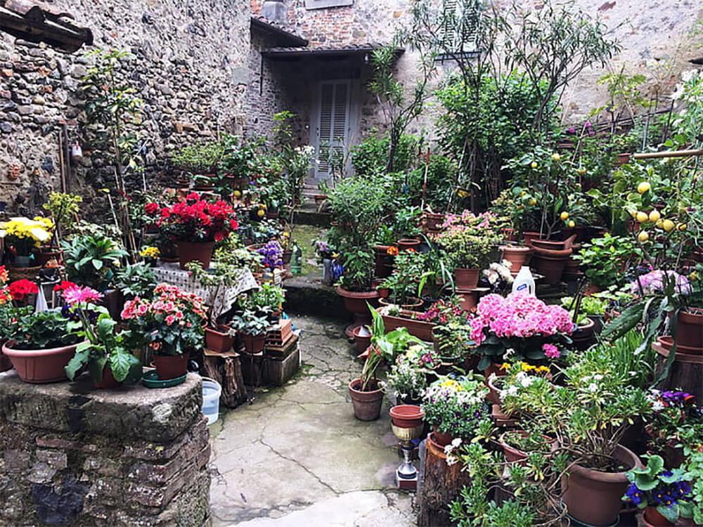 cómo hacer un jardín mediterráneo