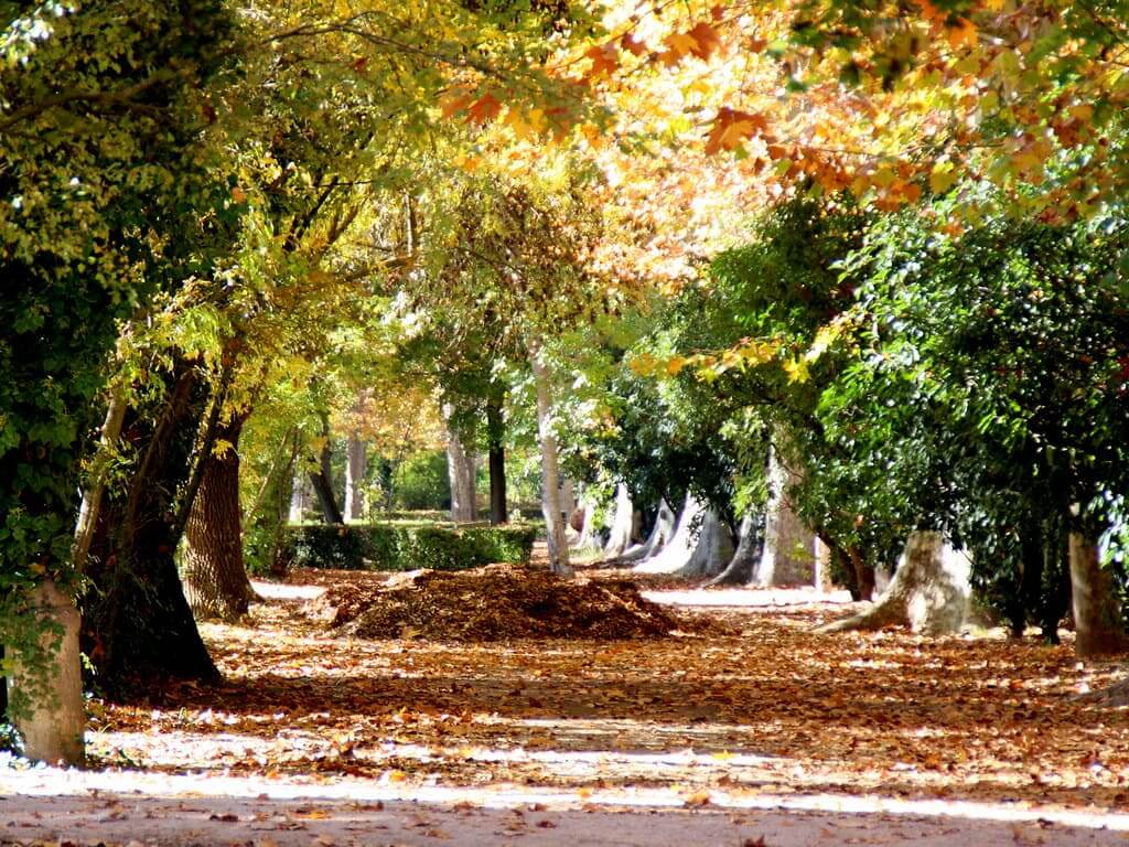 Jardines en otoño