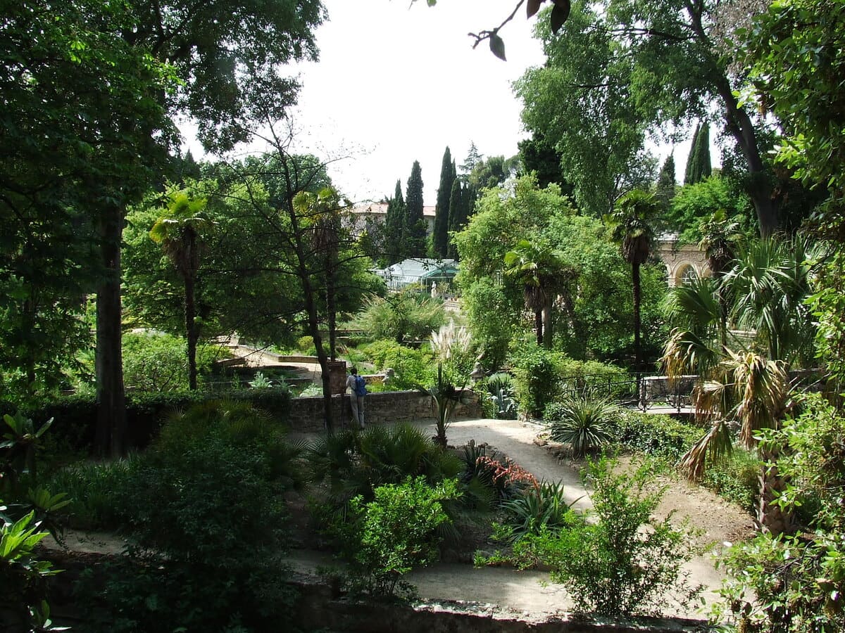 Jardín de Plantas de Montpellier