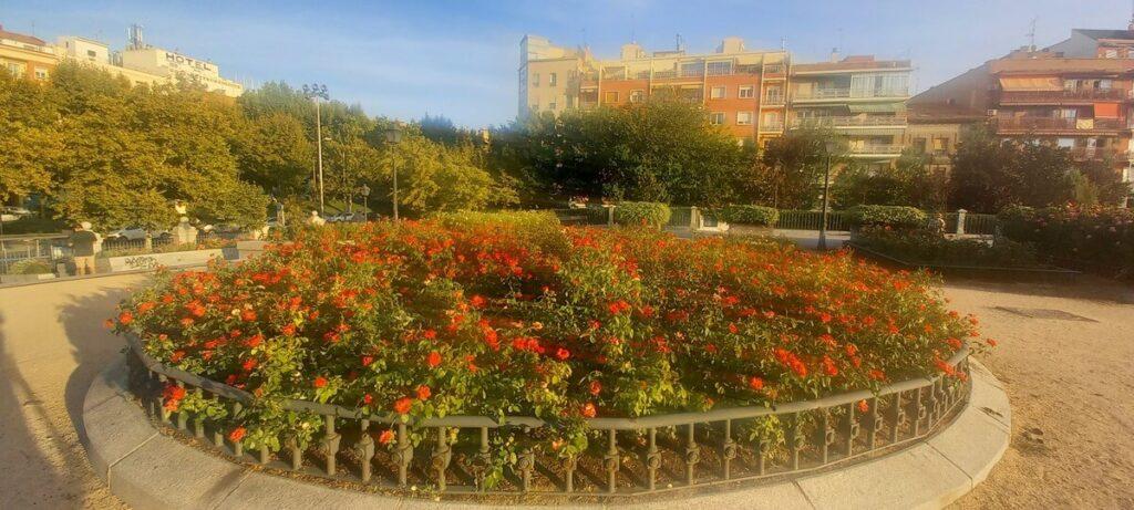 jardín en la primavera