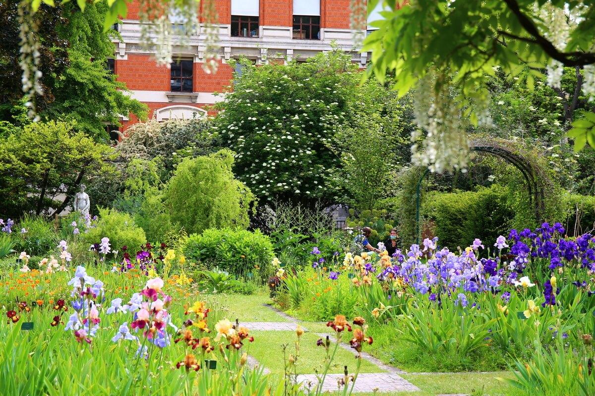 Plantas de París