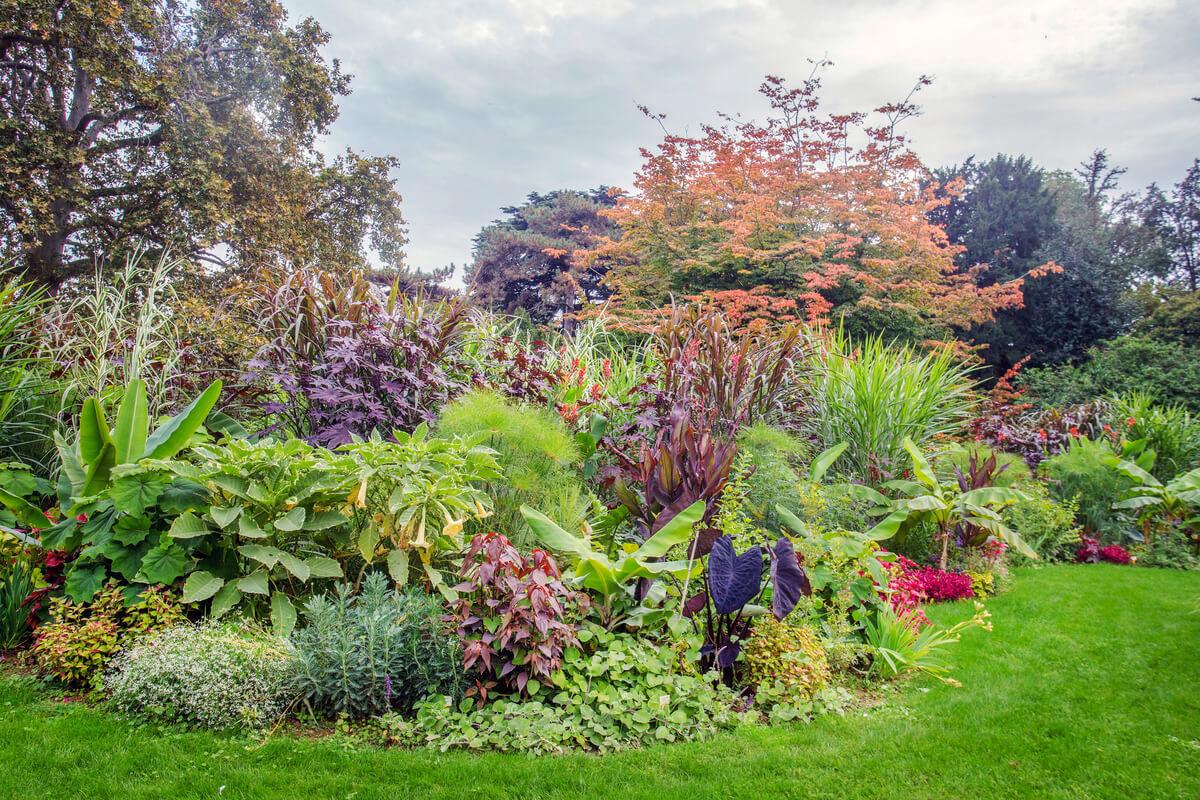 Plantas de París