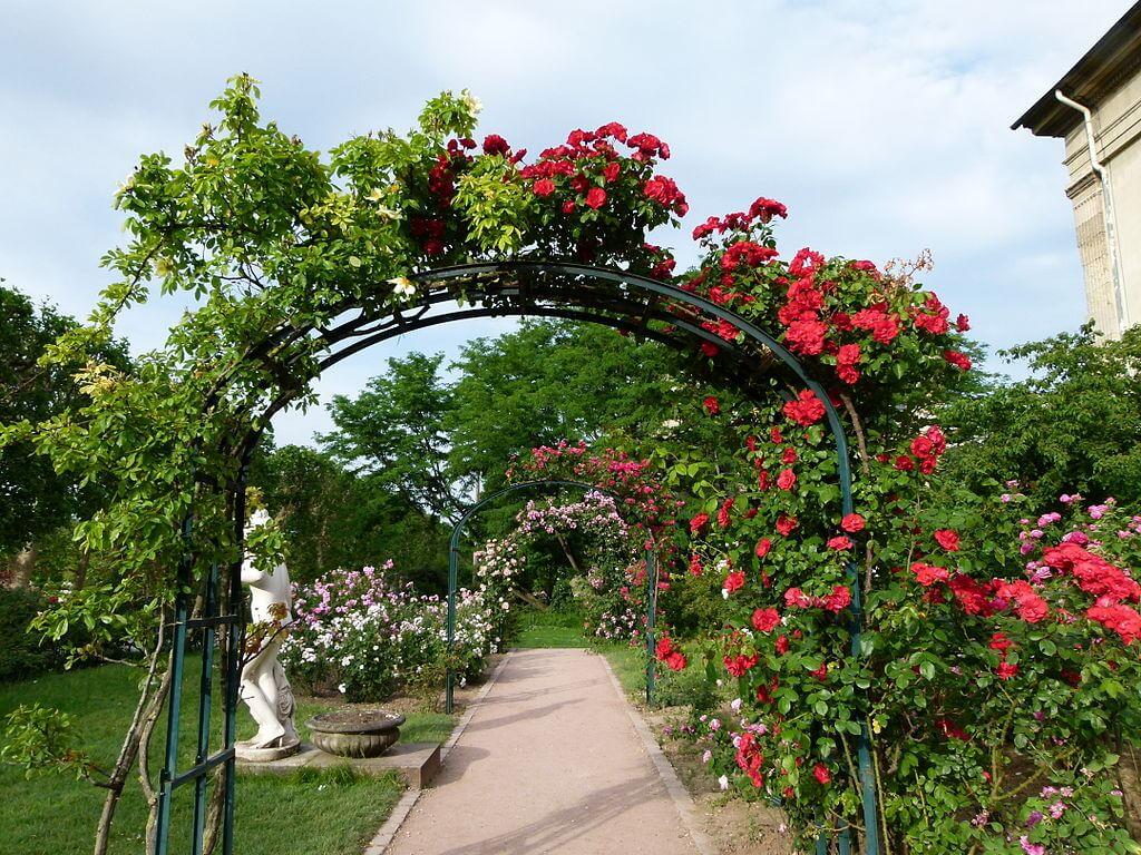 Plantas de París