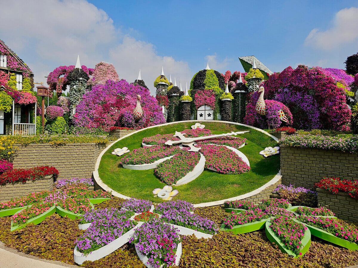 Miracle Garden