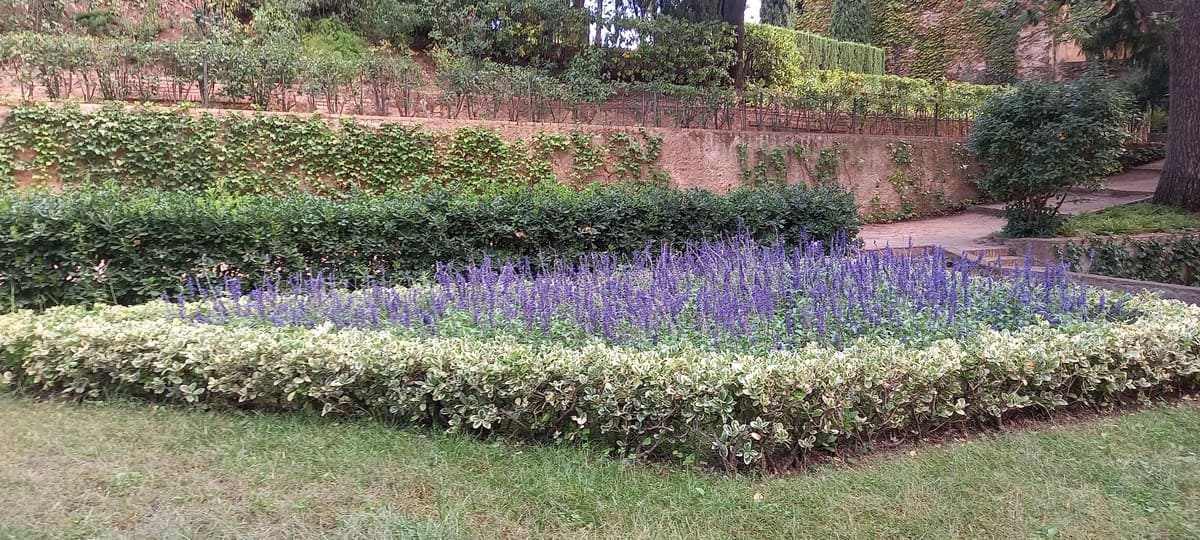 cuidar jardines en verano