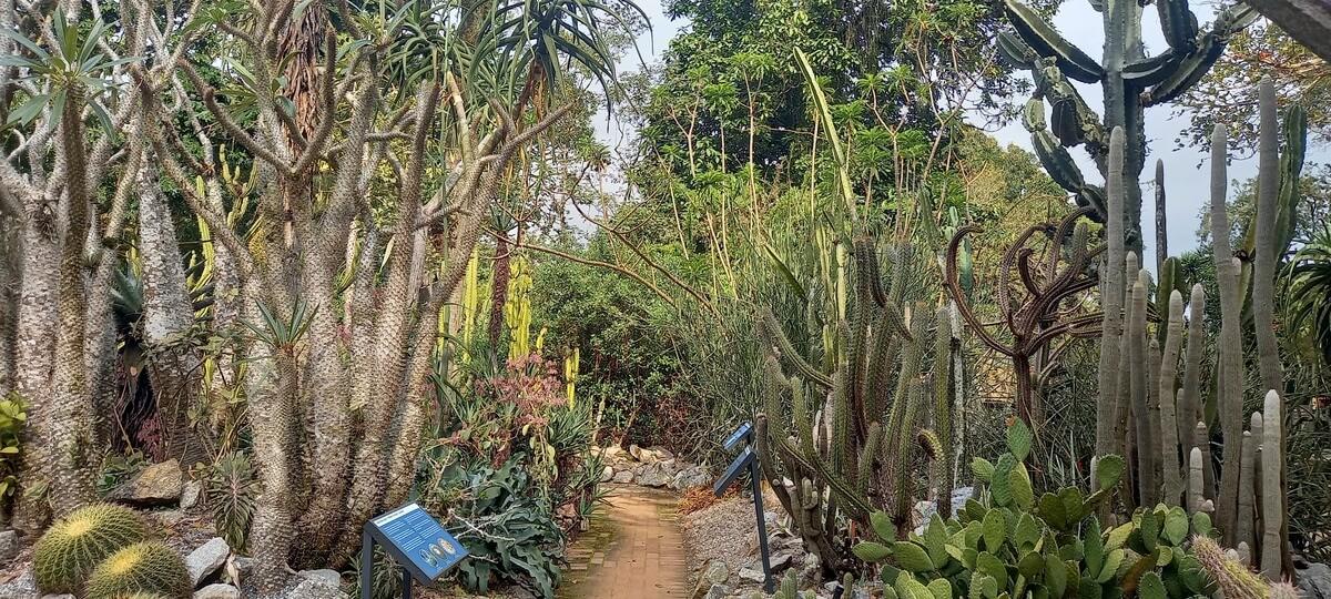 tipos de jardines botánicos