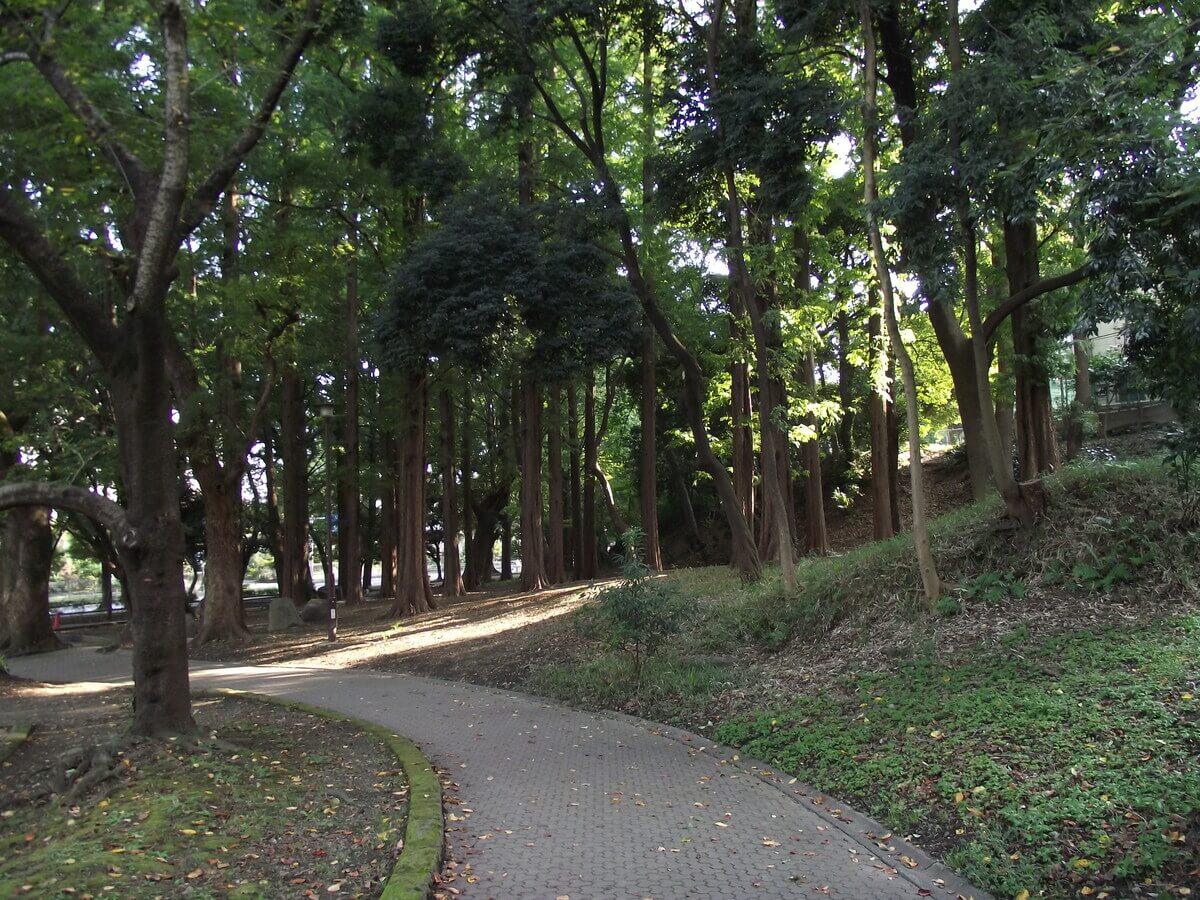 tipos de jardines botánicos