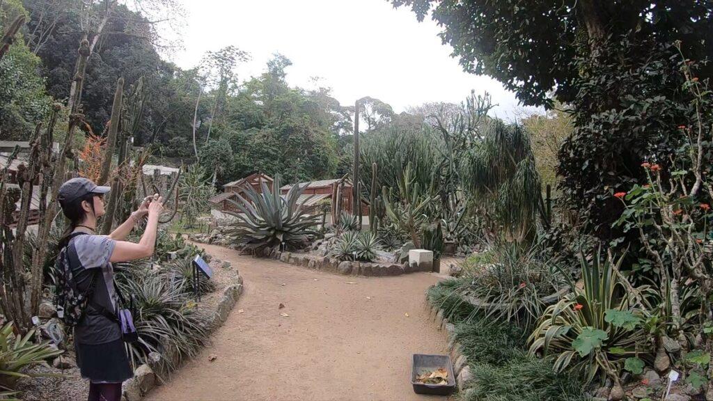 tipos de jardines botánicos