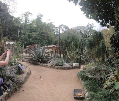 tipos de jardines botánicos