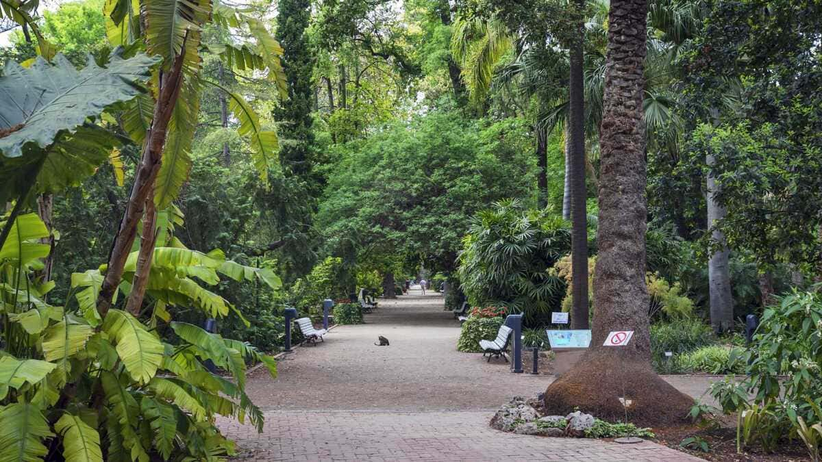 Jardín Botánico Universidad de Valencia