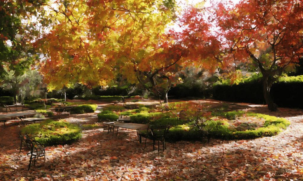 jardín en otoño