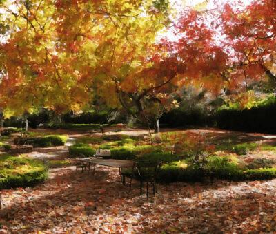 jardín en otoño