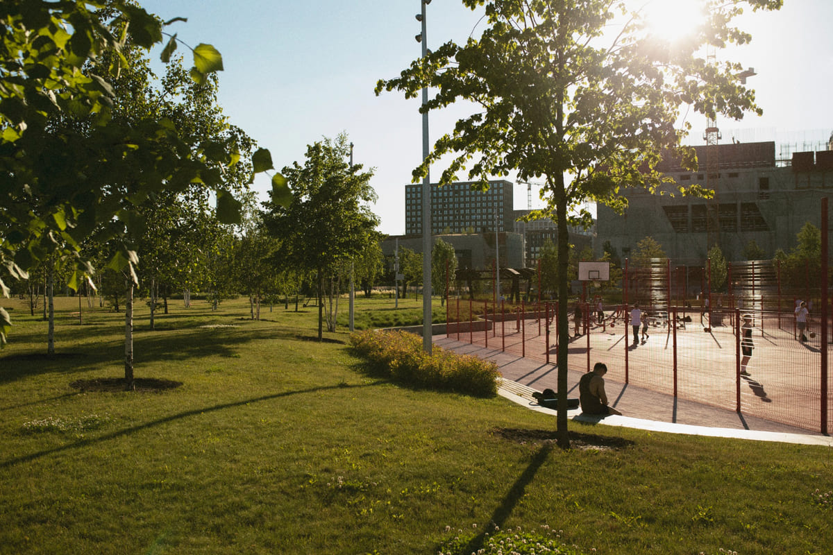 Rehabilitación de espacios verdes urbanos