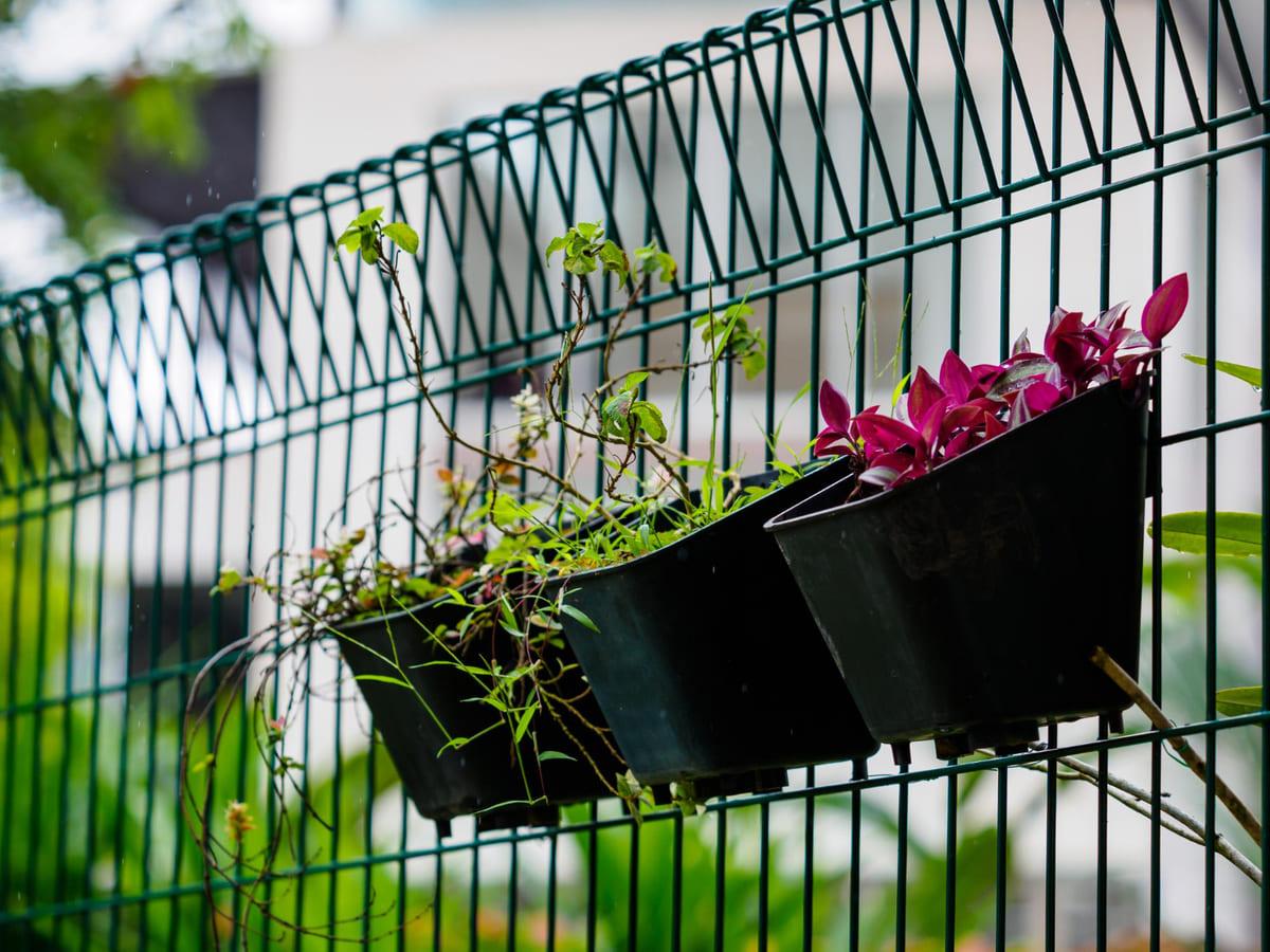 microjardines para balcones