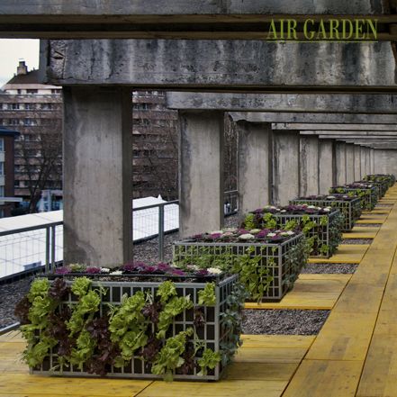 muros vegetales