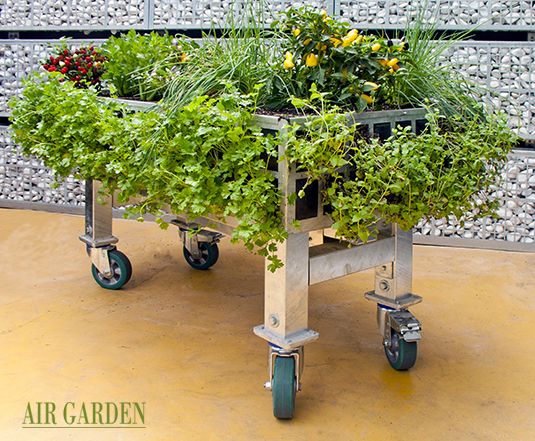 muros vegetales