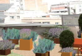 Jardin Comestible en una Terraza de Barcelona