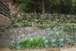 Jardin en Begues